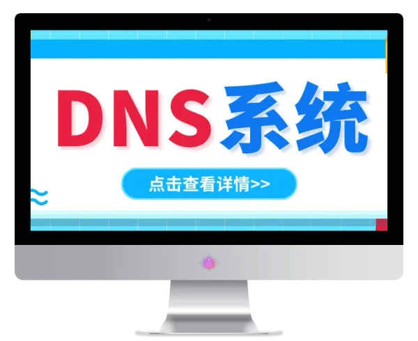 DNS系统的选择